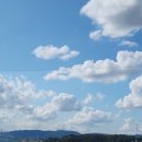 포시즌공인중개사사무소 이미지