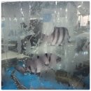 보성회센터 이미지