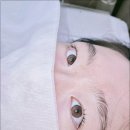 바이블리아이래쉬