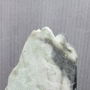 수풀정경