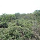 남원읍-5 이미지