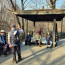 신금자 | 한밤의 사진편지 제2919호 ('23/3/7/화)