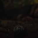 더그레이 이미지