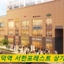 서한약국 이미지