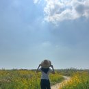 가장자리 | [태안여행] 갯벌체험하러 급 떠난 여행 | 가장자리펜션 후기