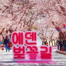 가평 에덴벚꽃 명소·맛집·축제 일정 총정리 2026