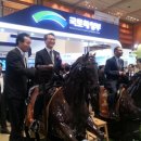 대원포티스 이미지