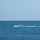 내가그린바다 이미지