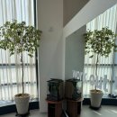 바른운동 스튜디오 이미지