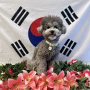 헬로우버디 이미지