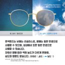 눈닥터안경 이미지