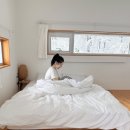 더브리앙뜨 이미지