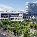 화동초교 이미지