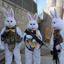 도대리카페 이미지