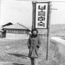 승리이발관 Daum카페