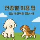 멍멍나래 이미지