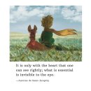 Why I Share Stories in Fancafe 🧚 이미지