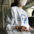 sootti 수띠 이미지