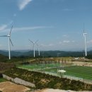 종수목장 이미지