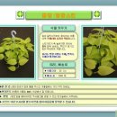 형광스킨☆0☆ (관엽식물키우기, 관엽식물종류, 관엽식물의 종류, 관엽수, 관엽식물의 재배, 관엽식물의 특징, 관엽) 이미지