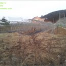 신도리-8 이미지