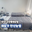 미모가눈썹 | 안산 고잔동속눈썹펌 미모가 안산눈썹 가격 위치 시술받은 후기