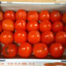 [대전] 원두막농산 과일천국에서 맛있는 홍시 구매후기