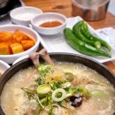 백석 가족 모임하기 좋은 일산맛집 삼계보감 녹두삼계탕 솔직 후기