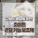 조이펫헬스 | 고양이관절염 영양제 추천 조이튼 관절영양제 30캡슐 급여후기