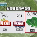 케일 - 양천구 공항대로 594 | 케일