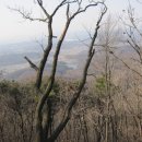 남풍소류지 이미지