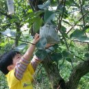 왕자공주어린이집 이미지