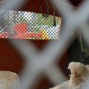 아성2농장 이미지