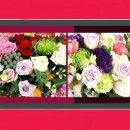 버스정류장 05-072 이미지