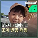 그린전기안전관리 | 경포대 그린바이크 전기자전거 대여 후기,6세 조이와 강릉여행 필수코스