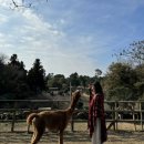 쉬리목장 이미지