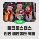 조정만묘 | 크리스마스카페 인천 애견동반 로스팅 카페 마크로스터스
