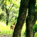 종로안경 이미지