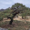 구암동387 이미지