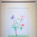 색연필 일러스트 & 보타니컬 아트 이미지