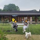 우양상회 이미지