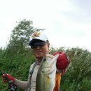 기세곡천 이미지