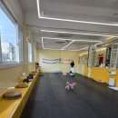 꿈나라유치원 | 쾌적한 내부 미끄럼 걱정없는 바닥 50평 규모의 실내애견카페 '네모난강아지' 방문후기