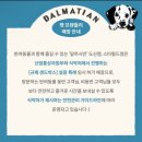 수원-1252 | 반려동물과 함께 가볼만한 곳 ｜수원 스타필드 방문 후기