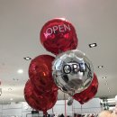 스테이레이지모닝(Stay Lazy Morning) | 스테이웜 버드 오아시스 로그 그리고,