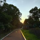은평공원 테니스장