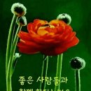 수연다육 이미지