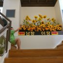 우림해수찜사우나 이미지