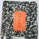 엄마손 동물병원 | 한강 작품 『소년이 온다』 줄거리와 서평: 인간과 기억에 대한 소설