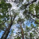 백운회관 이미지